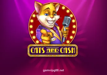 Hình ảnh Cats And Cash tại g88