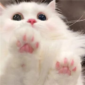 Ảnh đại diện người dùng Hoài
